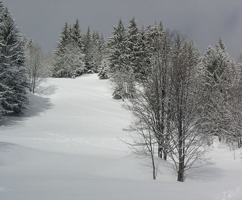 neige sur les hauteurs des confins La Clusaz